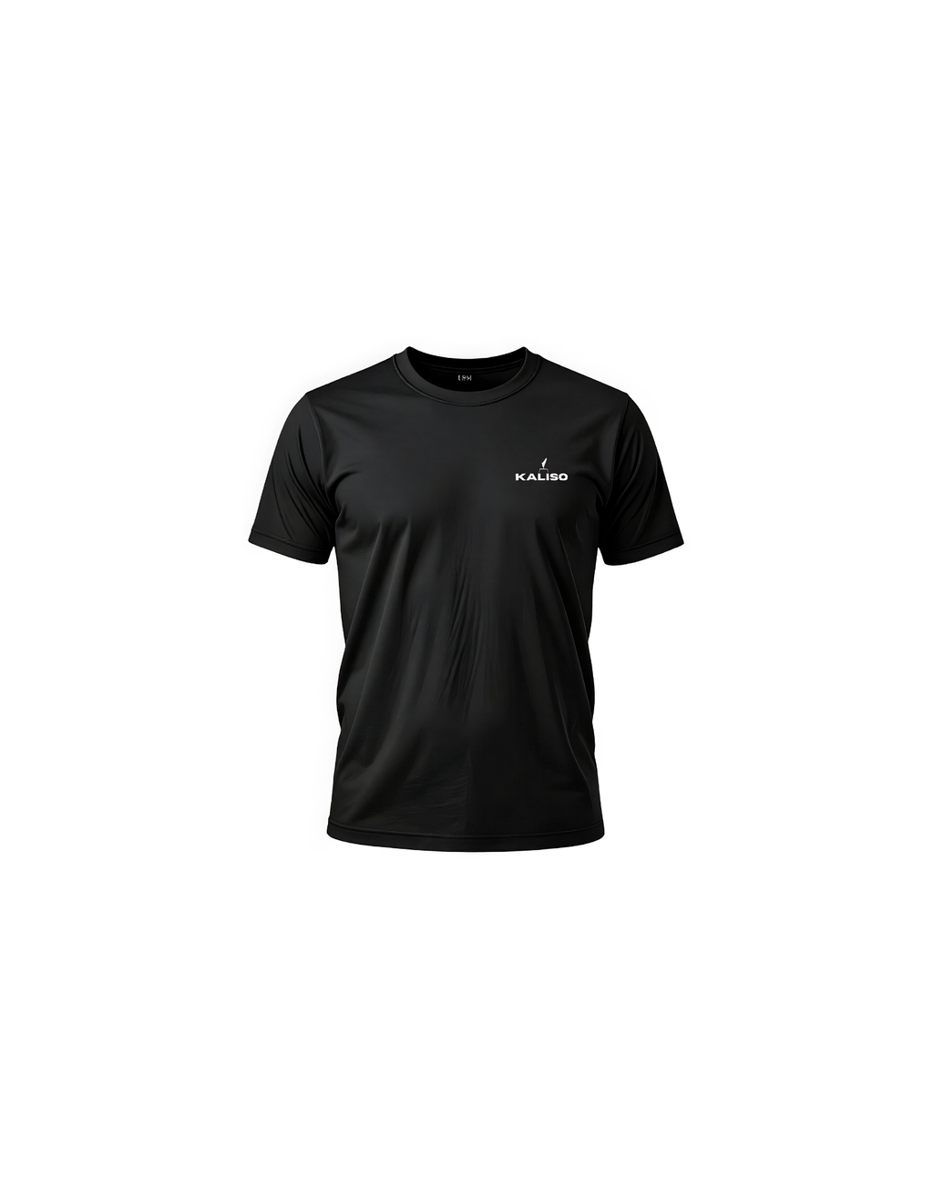 Calisthenics T-Shirt