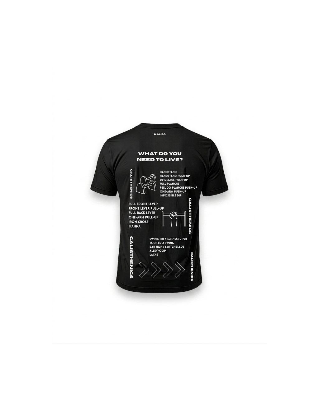 Calisthenics T-Shirt